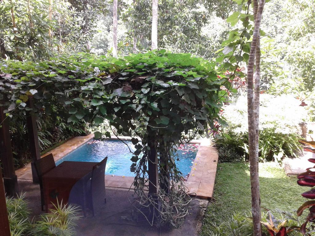 Anahata Villas And Spa Resort Убуд Екстер'єр фото